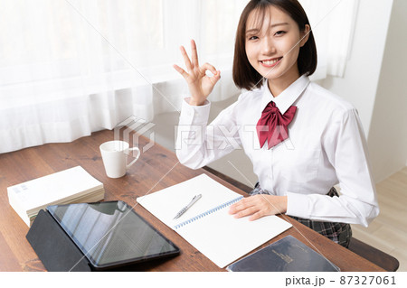 電子教科書で勉強する女子高生 電子教科書で勉強する女子高生 87327061