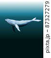 海中を泳ぐ鯨 87327279