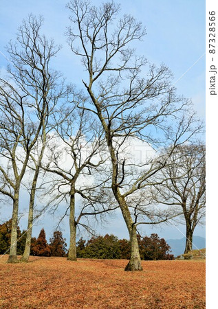 宇陀松山城跡 本丸跡 宇陀松山城跡 本丸跡 87328566