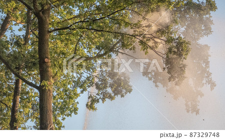 irrigation farm fields sunset hot air balloon water trees 87329748