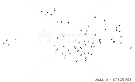 A flock of flying birds. Free birds. Vector illustration 87329933