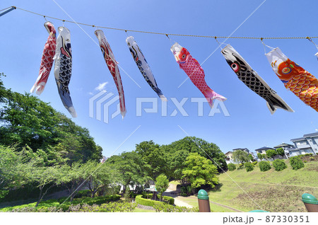 かにが沢公園の鯉のぼり かにが沢公園の鯉のぼり 87330351