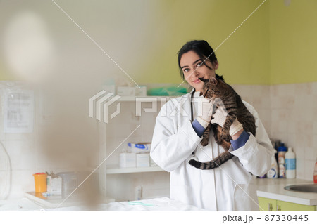 Veterinary clinic. Female doctor portrait at the animal hospital holding cute sick cat  87330445