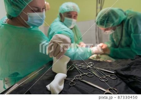 Real abdominal surgery on a cat in a hospital setting 87330450