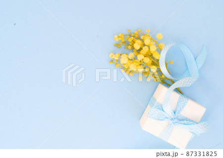 Mimosa flowers on blue background Mimosa flowers on blue background 87331825