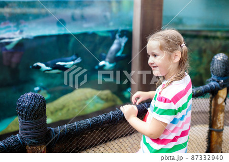 Kids watch penguin at zoo. Child at safari park. 87332940
