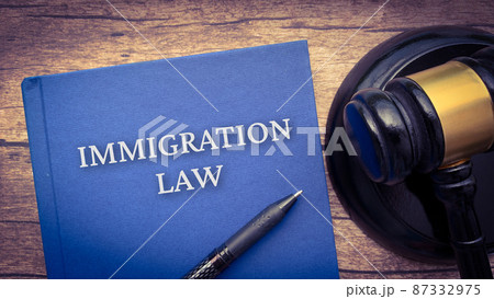 Immigration law book and gavel on a brown wooden table.  87332975