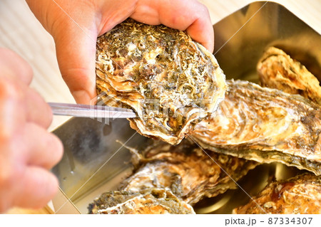 牡蠣剥き作業 87334307