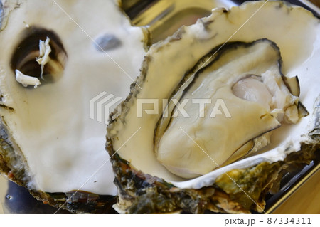 三陸産牡蠣のカンカン蒸し 三陸産牡蠣のカンカン蒸し 87334311