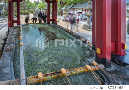 [九州・大宰府] 太宰府天満宮の手水舎の底に惚れてある神亀様の蓑亀を囲む参拝者たち。 87334664