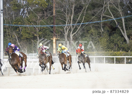 競馬　第4コーナーで一斉に追い上げる馬たち2 87334829