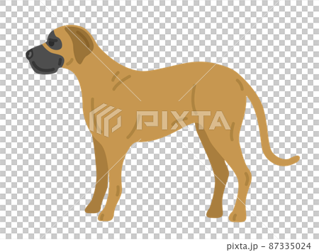 Great dane illustration 87335024