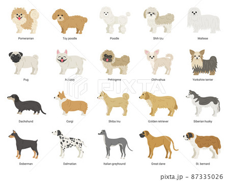 たくさんの種類の犬のイラストセットのイラスト素材