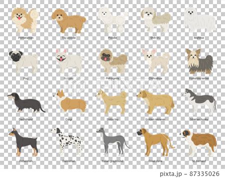 Illustration set of many kinds of dogs 87335026