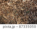 一面の落ち葉 87335050