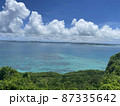 海の青自然の緑夏の空 87335642