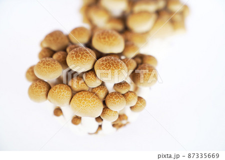 ぶなしめじ ぶなしめじ 87335669