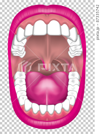 In the mouth 87335742