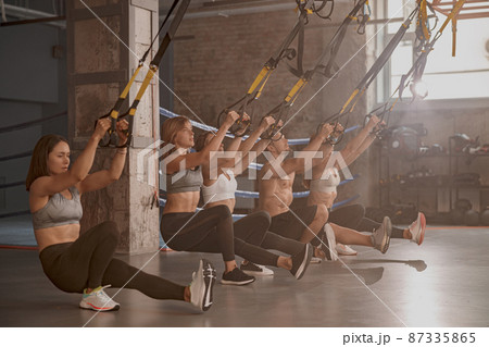 Group of young fitness people using fitness straps in sports club Group of young fitness people using fitness straps in sports club 87335865