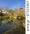 池と清水寺 87335897