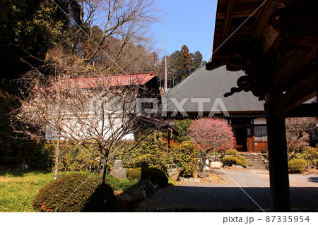 山門の脇から見た海禅寺の境内 山門の脇から見た海禅寺の境内 87335954