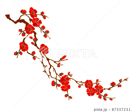 木瓜の花又は梅の花1 87337231