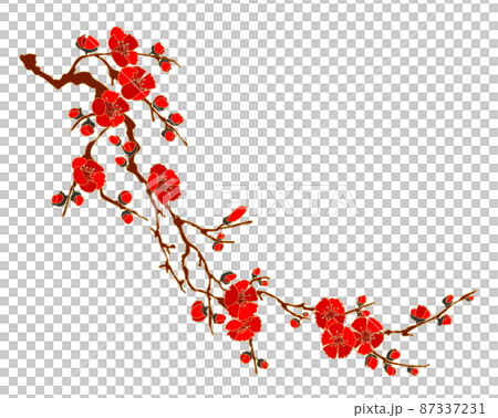 木瓜の花又は梅の花1 87337231