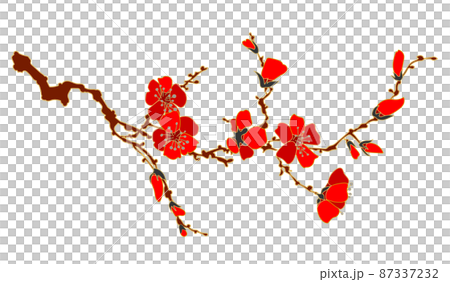 Quince flower or plum blossom 2 87337232