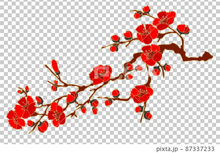 Quince flower or plum blossom 3 87337233