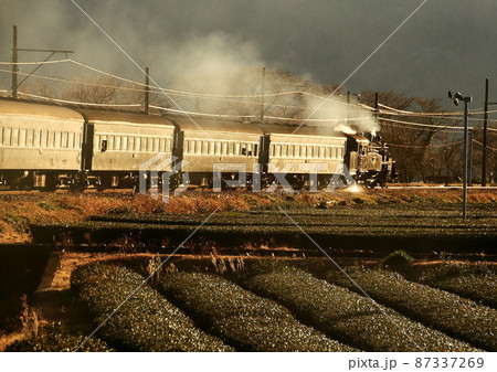 大井川鐵道で夕陽を浴びて茶畑を進行する蒸気機関車 大井川鐵道で夕陽を浴びて茶畑を進行する蒸気機関車 87337269