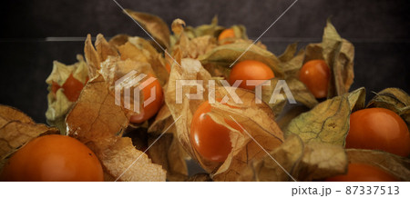 Physalis golden berries in close-up 87337513