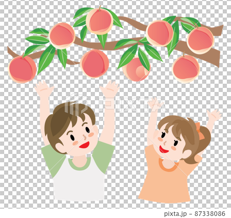 桃狩りをする子供たち 87338086