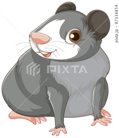 A Cute guinea pig on white background A Cute guinea pig on white background 87338859