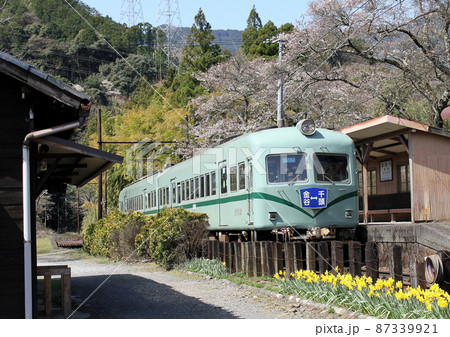 大井川鐵道青部駅ホームに元南海電鉄の車両が入線 大井川鐵道青部駅ホームに元南海電鉄の車両が入線 87339921