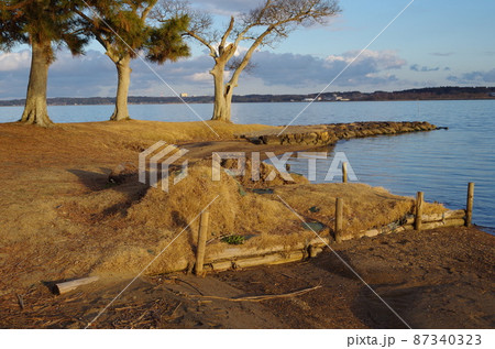 涸沼の親沢公園 涸沼の親沢公園 87340323