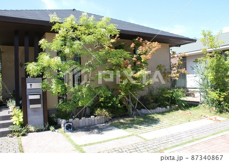 豪華で落ち着いた雰囲気の瀟洒な美しいラグジュアリーな平屋建ての戸建て住宅 豪華で落ち着いた雰囲気の瀟洒な美しいラグジュアリーな平屋建ての戸建て住宅 87340867