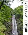 夏の玉簾の滝 87341159