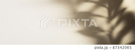 Natural leaves on branch shadow on beige paper banner. Abstract neutral floral backdrop. Soft light Natural leaves on branch shadow on beige paper banner. Abstract neutral floral backdrop. Soft light 87342065
