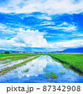 夏真っ盛り八月の青空が水面に映し出される日本の田園風景 87342908
