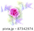 バラ 87342974