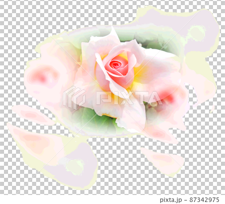 バラ 87342975