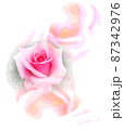 バラ 87342976
