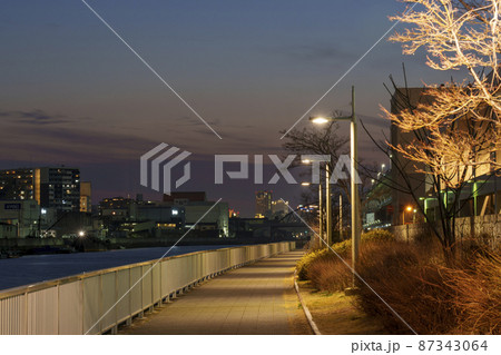 夜の野田南緑道 遊歩道 散歩道 街灯の灯り 夜の野田南緑道 遊歩道 散歩道 街灯の灯り 87343064