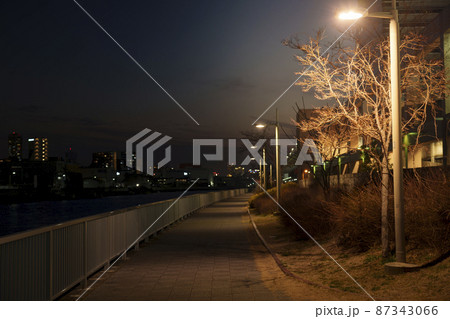 夜の野田南緑道　遊歩道　散歩道　街灯の灯り 87343066