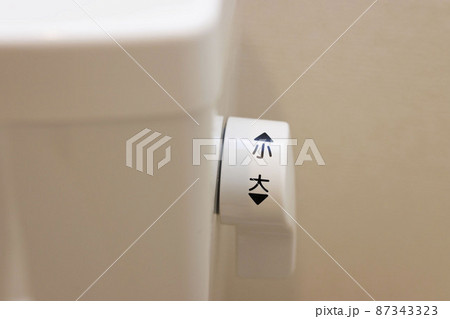 漢字で「大・小」と書かれたトイレの洗浄レバーの画像 漢字で「大・小」と書かれたトイレの洗浄レバーの画像 87343323