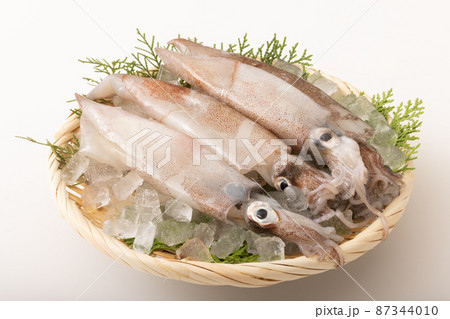 スルメイカ スルメイカ 87344010