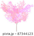 桜の木 87344123