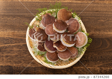 ホタテの稚貝 ホタテの稚貝 87344260