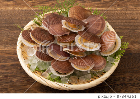 ホタテの稚貝 87344261