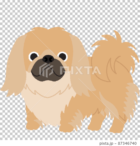 ペキニーズの犬イラスト 87346740